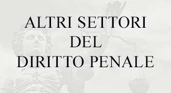 settori del diritto penale